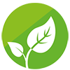 Environmental Policy Statement